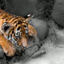 Willy Lara - @willylara6 - Twitter