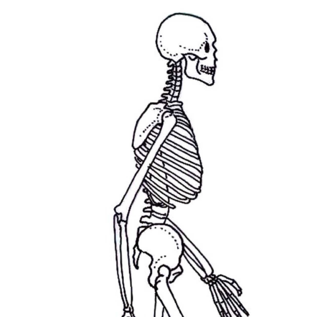 Physiotherapy
