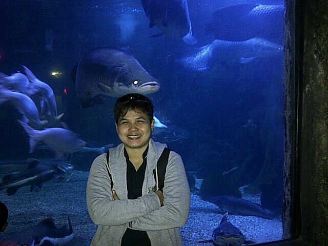 Kyanosunset's profile picture. 