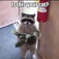 susan cadman (@sooz_c) 's Twitter Profile