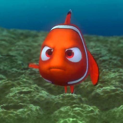 Nemo_12_11's profile picture. hanya mencari Nemo yang tersesat