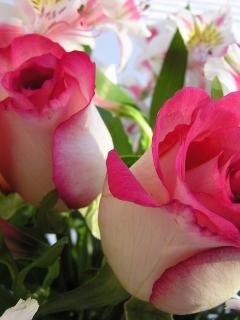 SvetikKomelkova's profile picture. Только в нашей стране на вопрос: Чем занят?, можно услышать ответ: Да, ничем, работаю...#ВзаимныйФолловинг