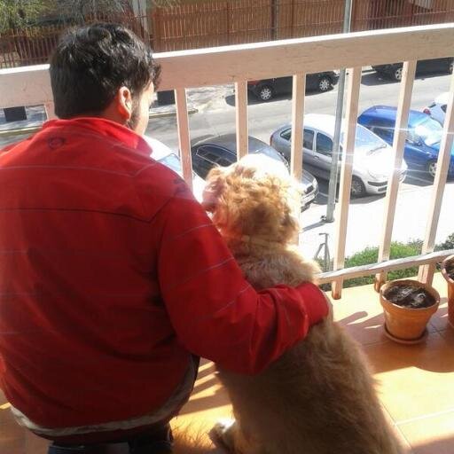 capitantalega's profile picture. Doy like si me hace gracia, no si estoy de acuerdo. Necesitamos el botón IRONIAON de tuiter.