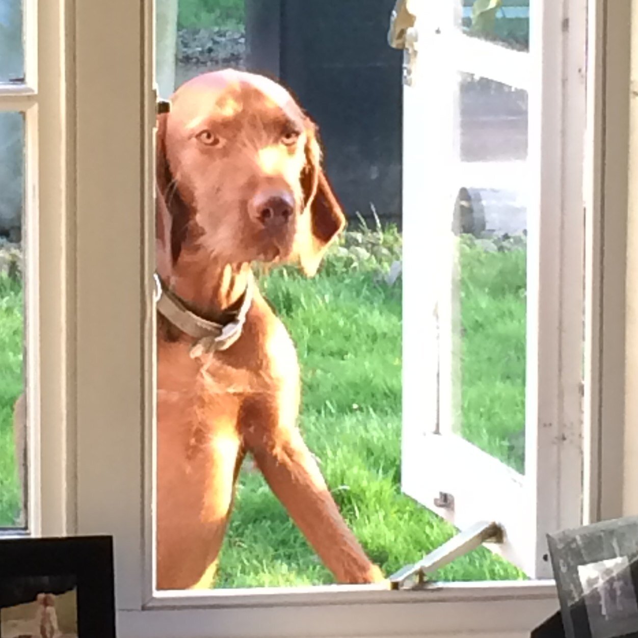 AppletonLuke's profile picture. 