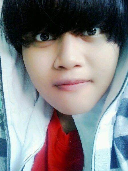 Fangirl| Id line : floyoungjae
