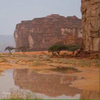 سبحـان الله وبحمـده عدد خلـقه ، ورضـا نفسـه ، وزنـة عـرشـه ، ومـداد كلمـاتـه.