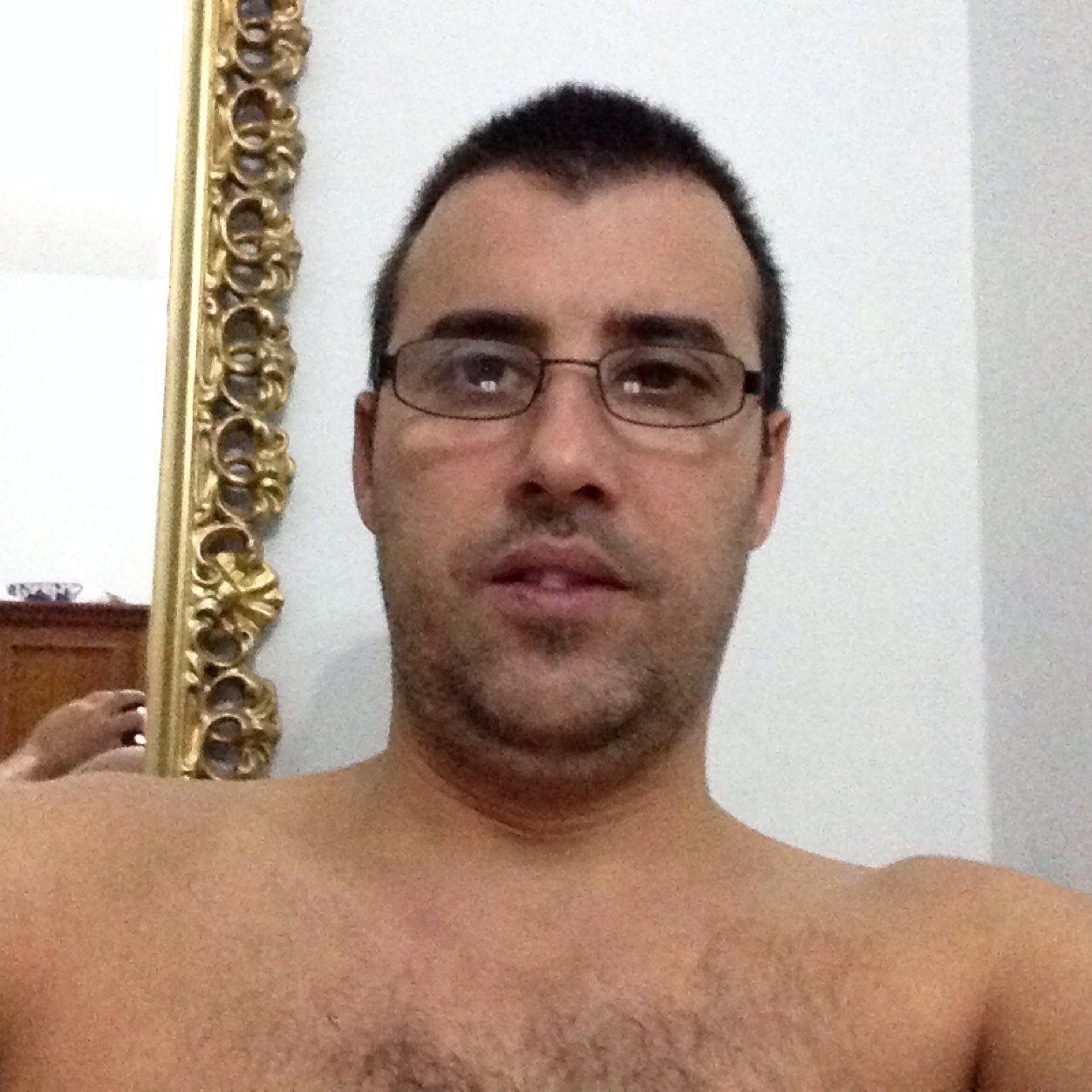 longobardimassi's profile picture. 