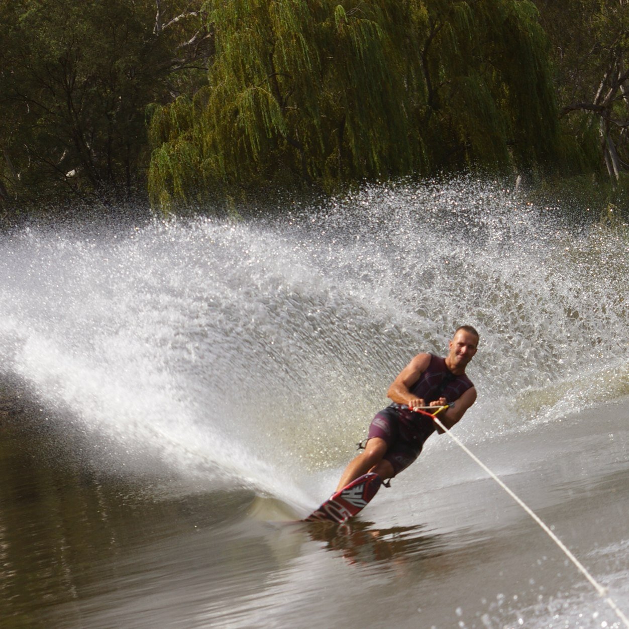 starryv8's profile picture. 