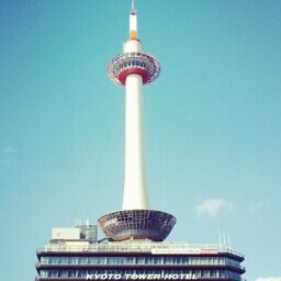 mmmmmotan's profile picture. xxx(´・ω・`)