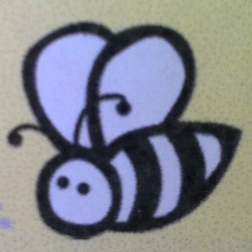 Amateur beekeeper producing delicious local honey.