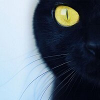 和奈　由亜 (@kazunayua) 's Twitter Profile Photo