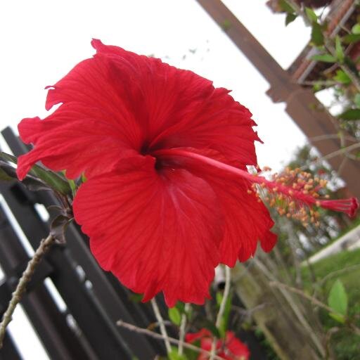 misya6919's profile picture. パチ＆スロ大好きだす。最近は麻雀にハマってます。
プロレス好きで、ドラゲー・O'z・スターダム・アイスリボンが特に好き。
１日１歩３日で３歩、３歩進んで２歩サバ読むおっさんですが何か？