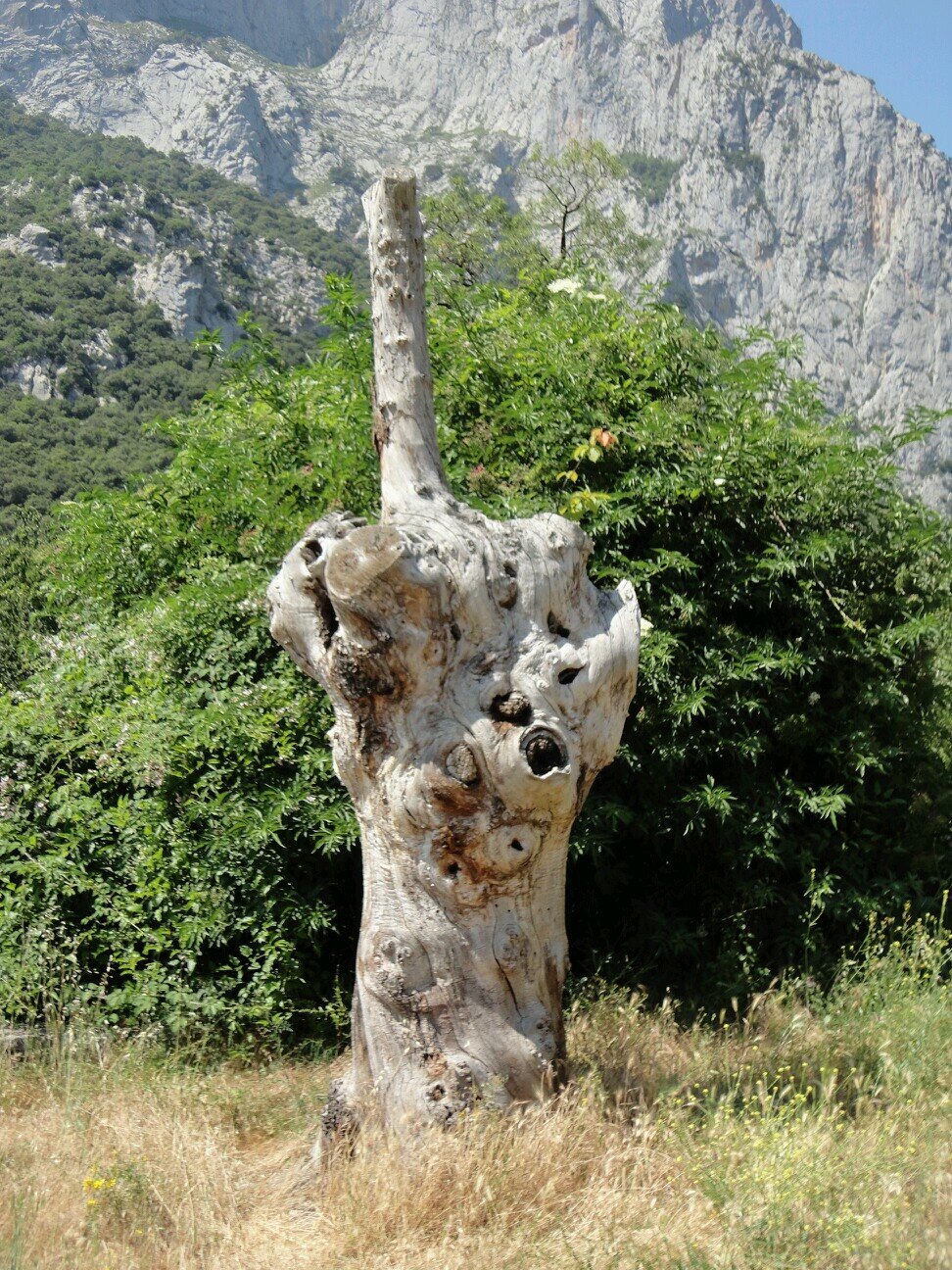 Luisitorrrrr's profile picture. Viaja, conoce, escucha y vuelve a viajar. Bloqueo carajotes.