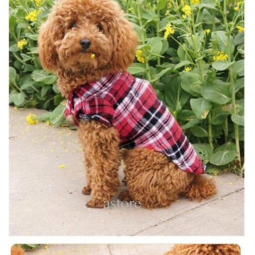 horselo31452212's profile picture. best image for all myfreinds http://t.co/chLTgAAx0C