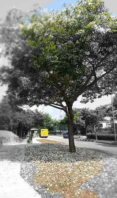 it_rained's profile picture. 