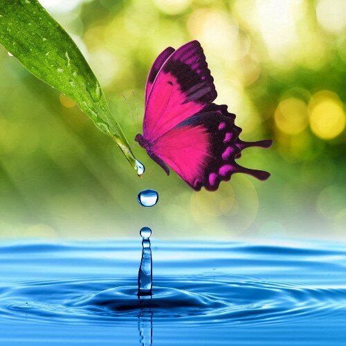 girlsfreionn's profile picture. 