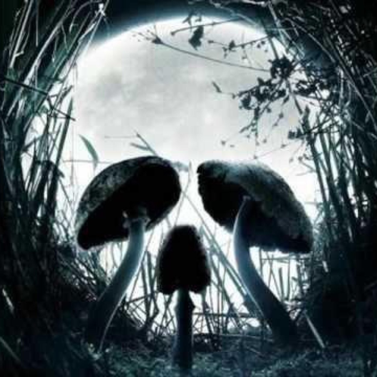 Lud Darkpsy