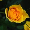 Anna Salt - @_____salt - Twitter