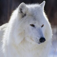 John (@cryptotrends1) 's Twitter Profile