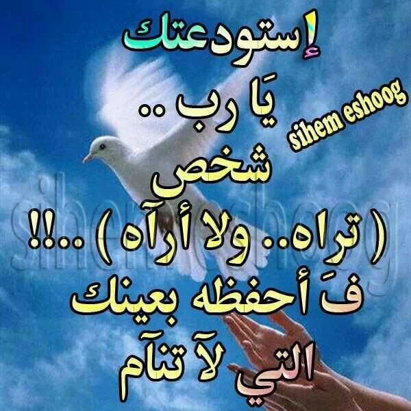 ib65817469's profile picture. 