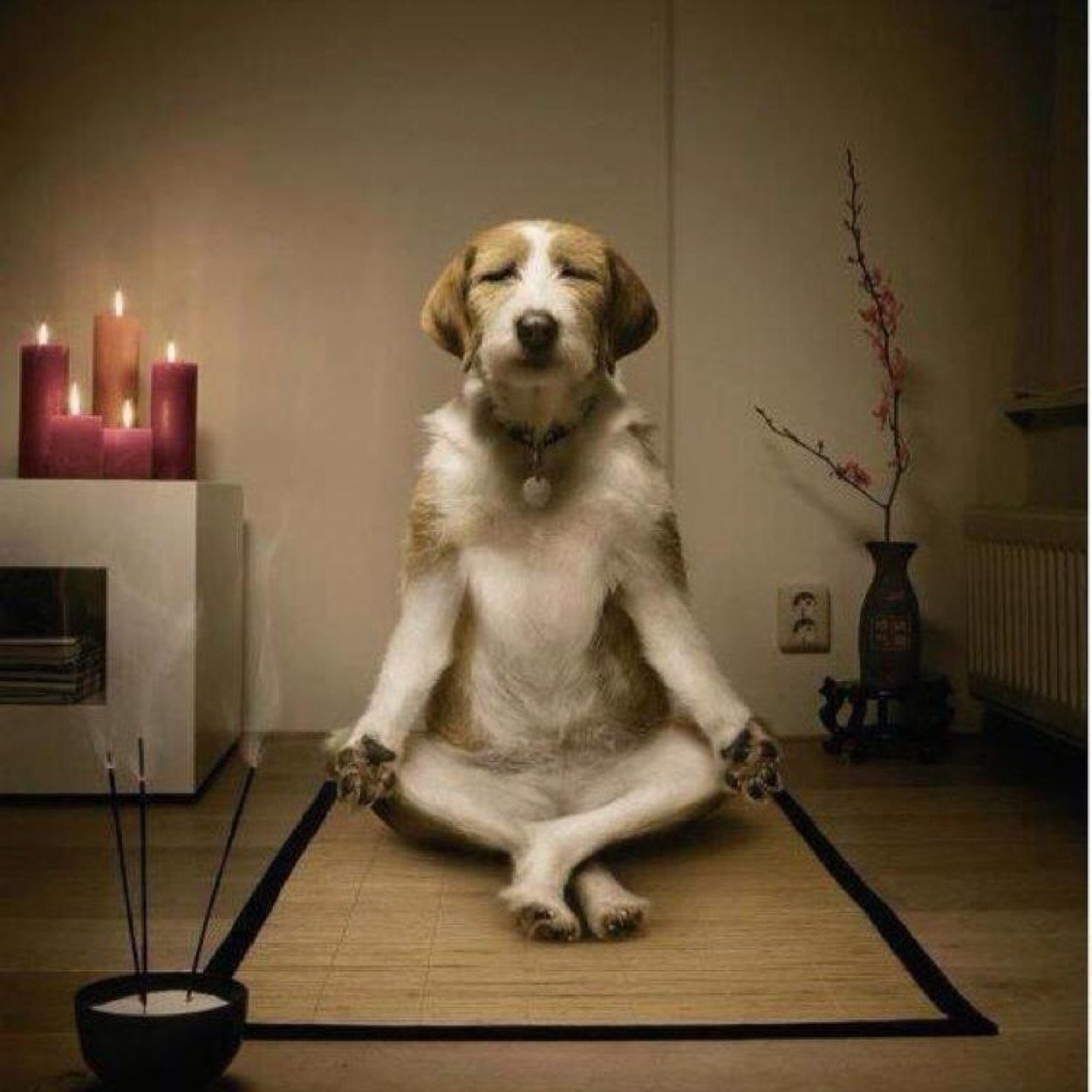 KILONINE's profile picture. 