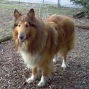 Charla Ward - @charlaw54 - Twitter