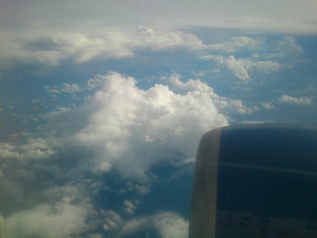 fol_back_ya,, ^^