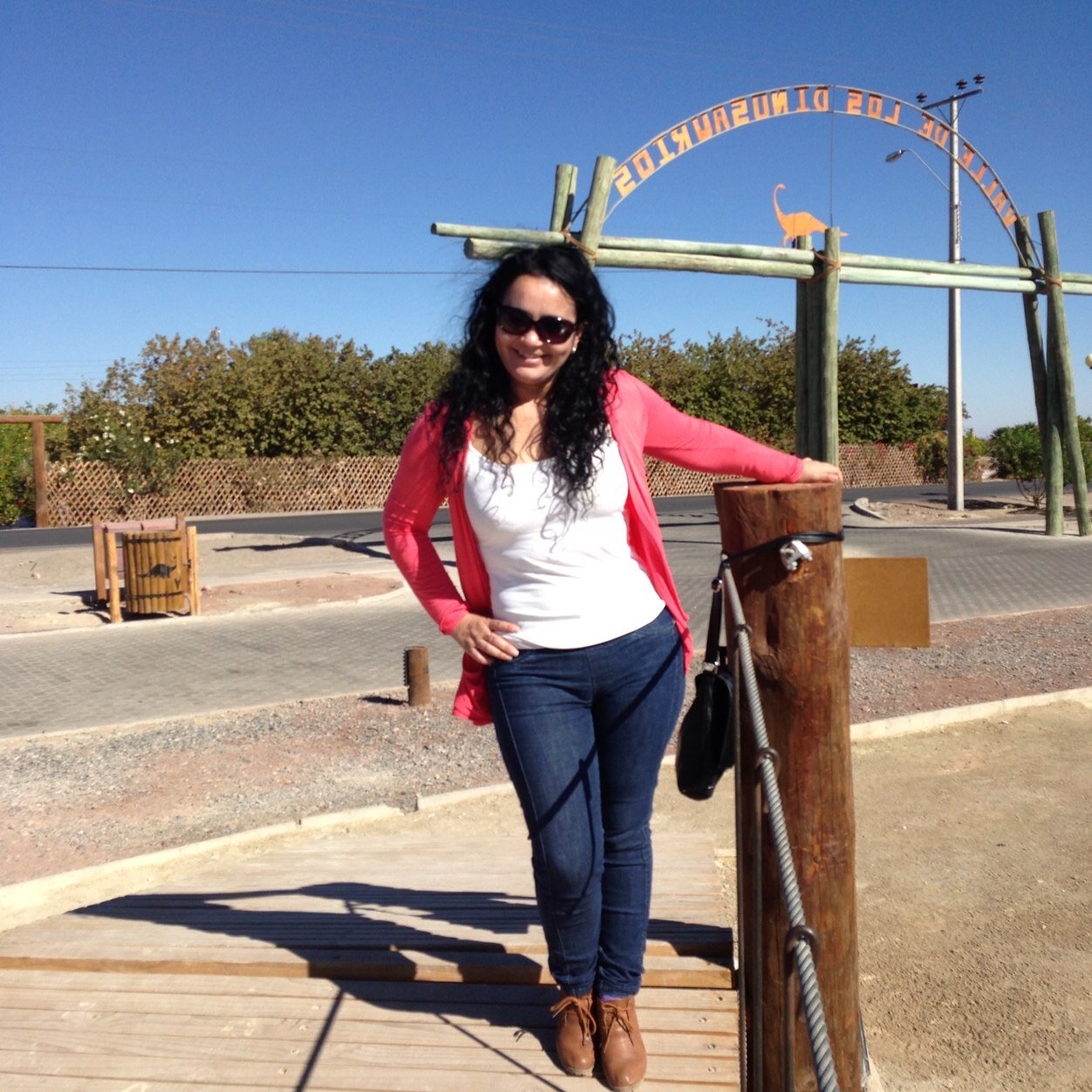 VBignami's profile picture. 