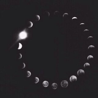 _Sar098's profile picture. تعالولي ههنا ' @_Saz098 ' دا مهكر.