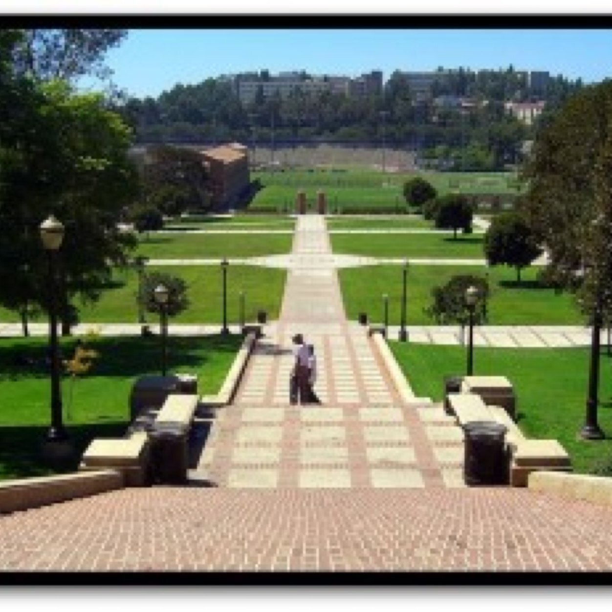 westwood3828's profile picture. 