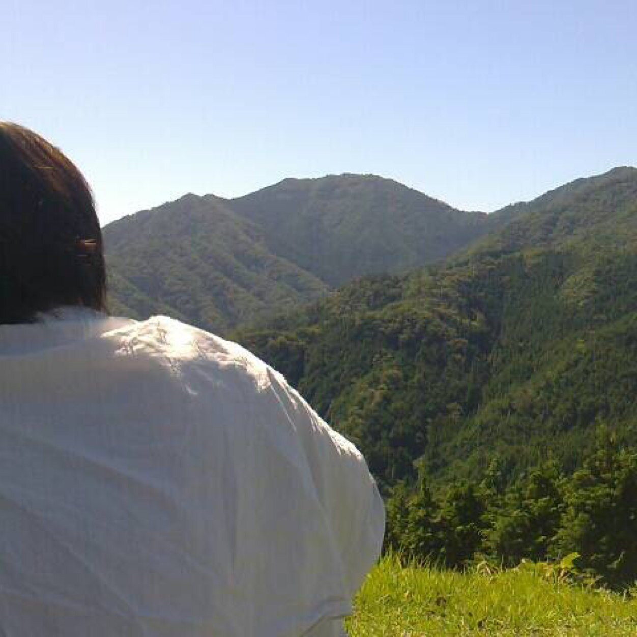 ぼちぼち呟いてます。