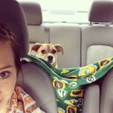 Amanda Watters - @mandwatters - Twitter