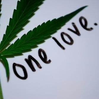 Nuestra filosofía siempre ha sido compartir nuestros conocimientos para el autocultivo de marihuana y poner a disposición del cultivador de cannabis lo mejor