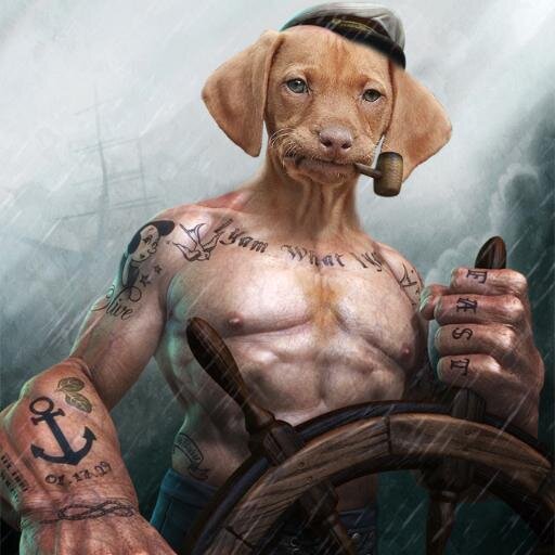 AdnIonut's profile picture. 