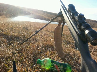 audiss84's profile picture. 