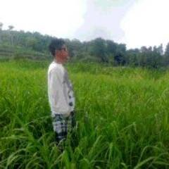 Dgn brsyukur hidup akan terasa indah
