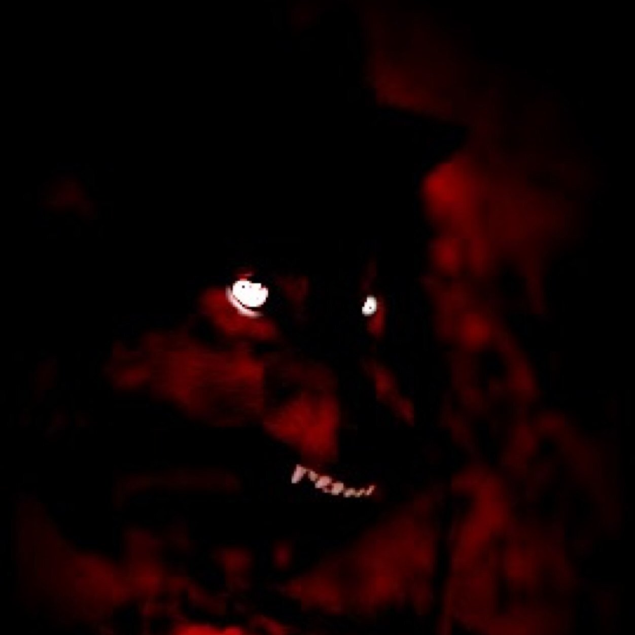 im dead yeah but im the new Shinigami of the death world