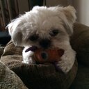 Julia Nicholas - @JuliaBossKecik - Twitter