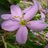 karen_ksmonroe's profile image