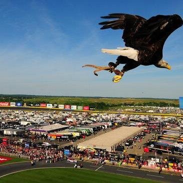 Wife, Mother, Meme to my beautiful & talented grandchildren, great-grandma. Love NASCAR, Neal McCoy, George Strait & Mickey Mouse.