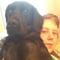 Ruben Bruland (@rubenbruland) 's Twitter Profile
