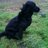 davidbutler_75's profile image