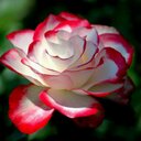 Doris la nenena - @DorisParodi - Twitter