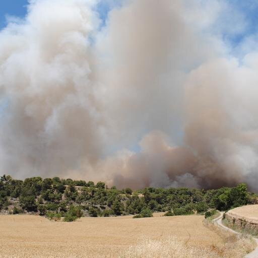 Incendis forestals a Catalunya