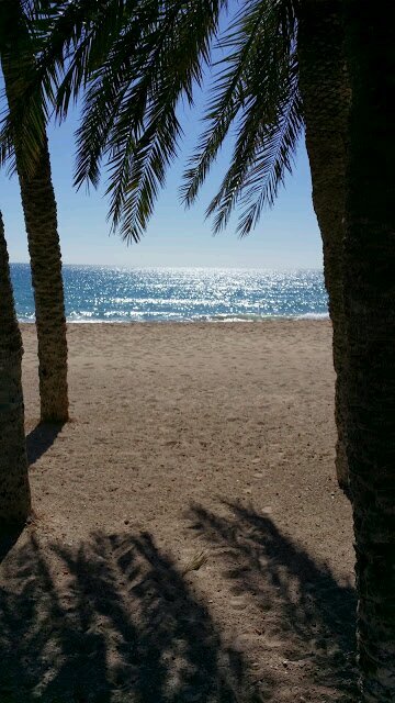 linnabeauty's profile picture. Me llamo Lina y soy asesora de imagen personal, moda y belleza. También soy profesora de lenguas y me considero una apasionada de la moda y la belleza.