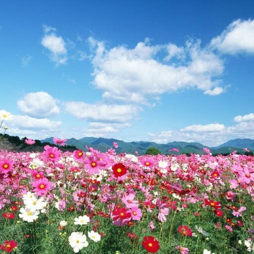 EvaSalazarPerez's profile picture. 