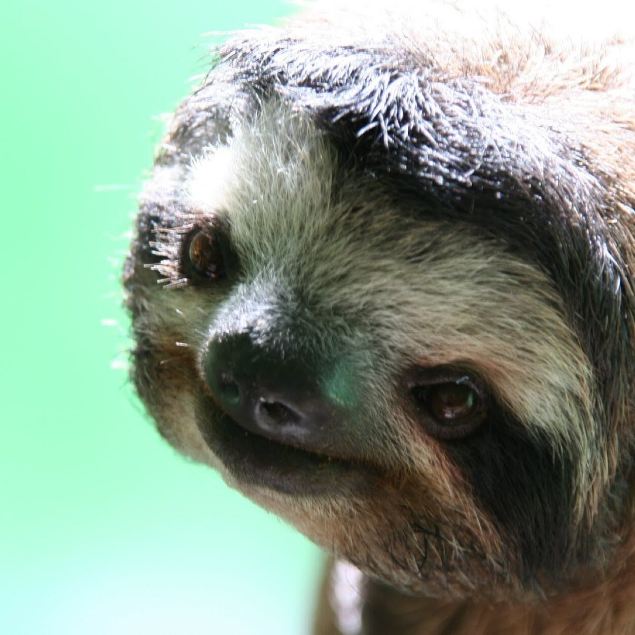 Cam_B_Jet's profile picture. 