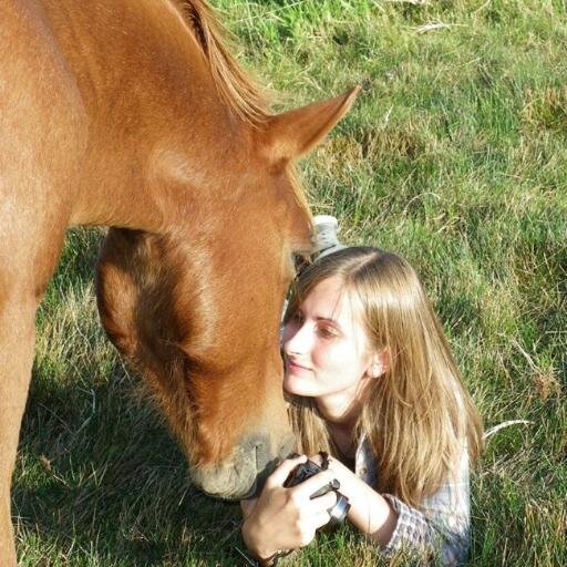 melkoo44's profile picture. 