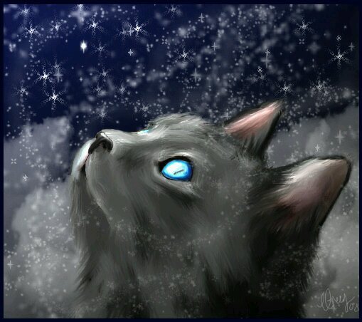 MeLoDyKiT_'s profile picture. Meow! Meow! Meow! I love my mama! @Silversky__ I'm born today and have closed eyes!