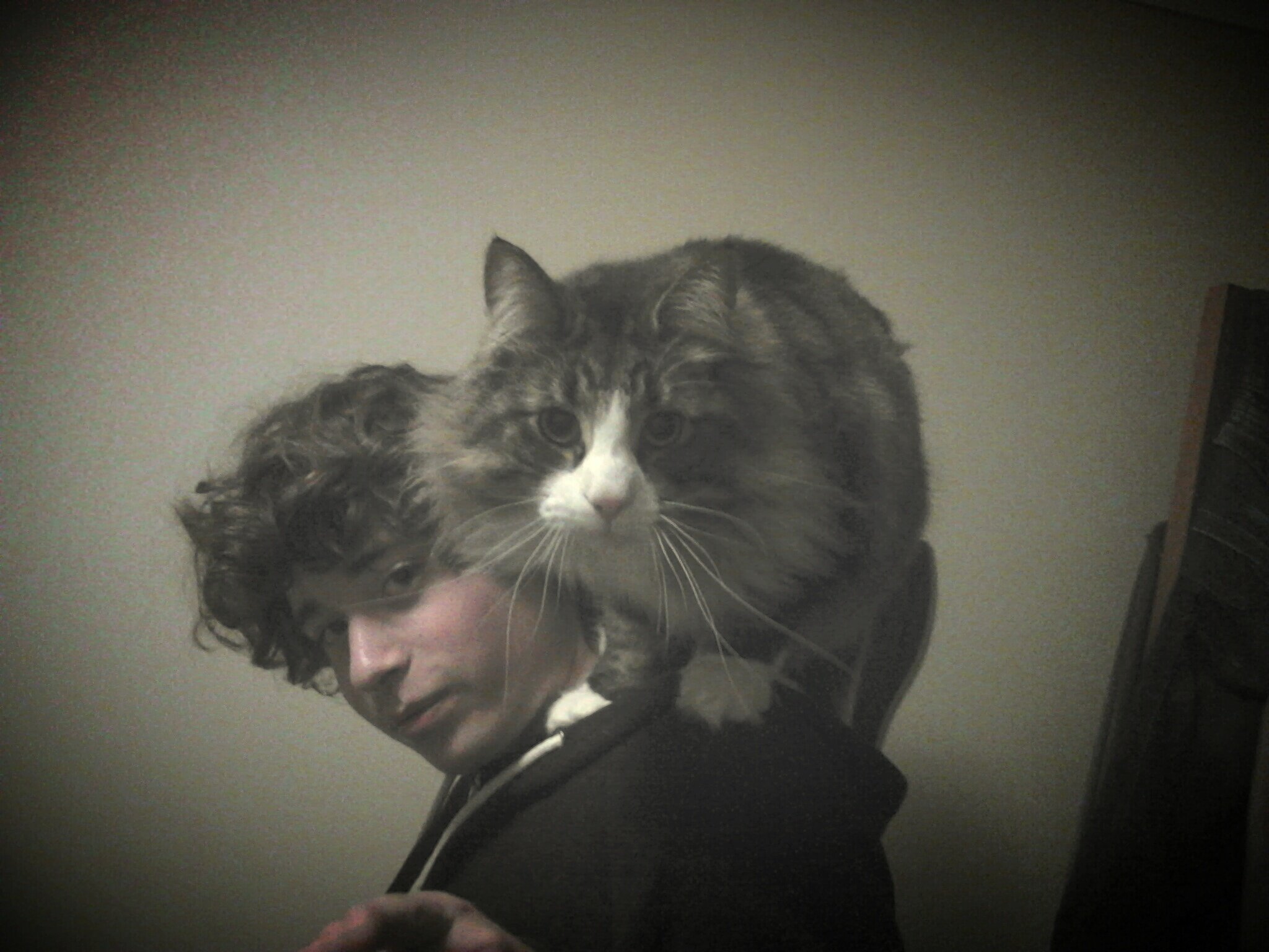 andr31999's profile picture. Gamer